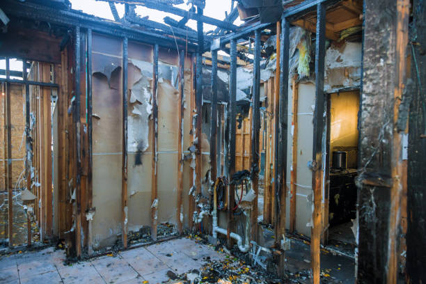 Professional Smoke Damage Removal technician working in West Slope, OR